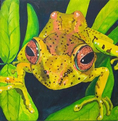 Bug-eyed Frog